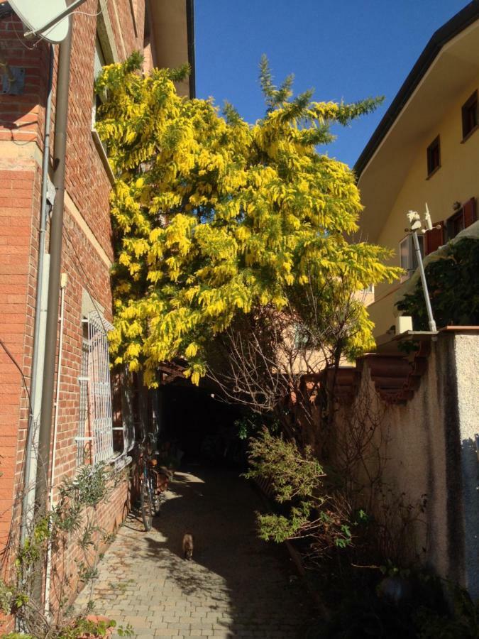 Apartmán Casa Mimosa Viareggio Exteriér fotografie